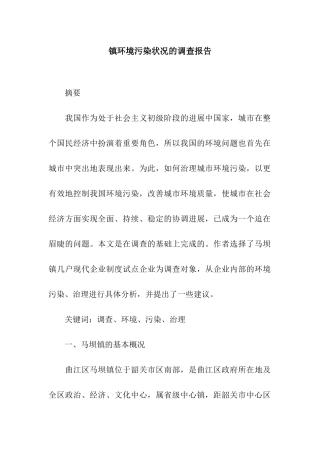 镇环境污染状况的调查报告