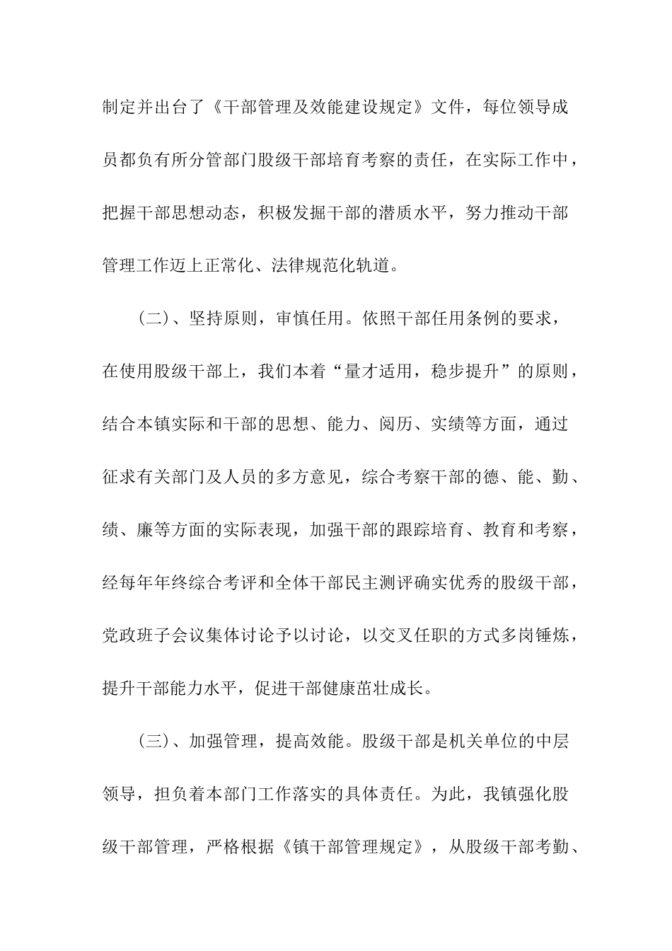 镇股级干部选拔任用情况的简要汇报_第2页