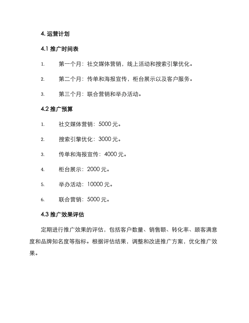 门店推广运营计划方案_第3页