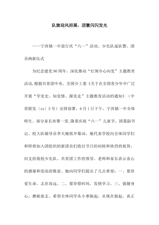 队旗迎风招展-团徽闪闪发光
