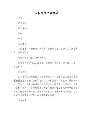 队长岗位规范