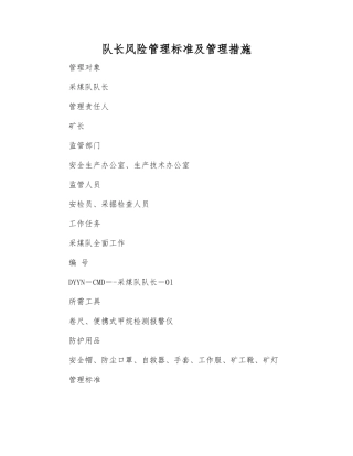 队长风险管理标准及管理措施