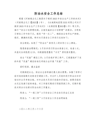 防治水安全工作总结