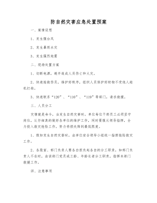 防自然灾害应急处置预案