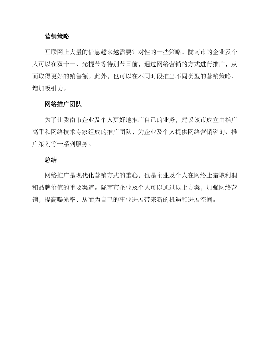 陇南网络推广方案_第2页