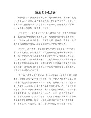 隐患直击观后感
