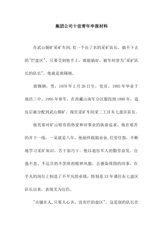 集团公司十佳青年申报材料