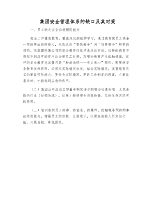 集团安全管理体系的缺口及其对策