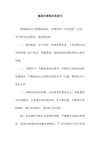 集团共青团员承诺书
