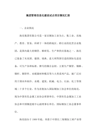 集团管理信息化建设试点项目情况汇报