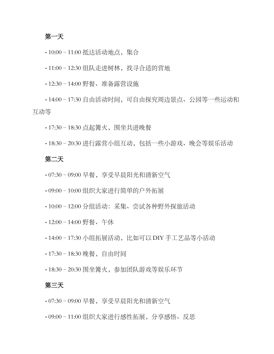 露营专题活动方案_第2页