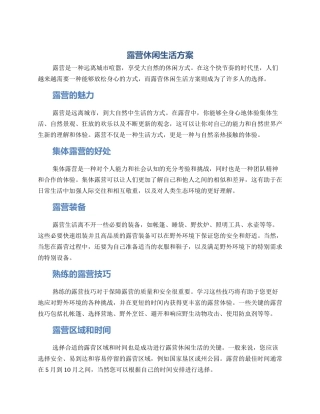 露营休闲生活方案