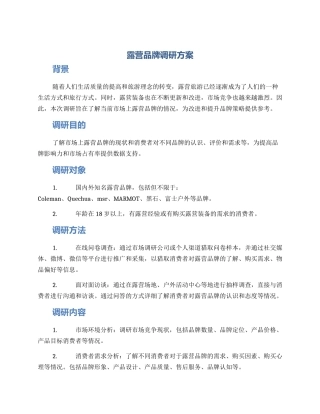 露营品牌调研方案
