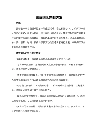 露营团队定制方案
