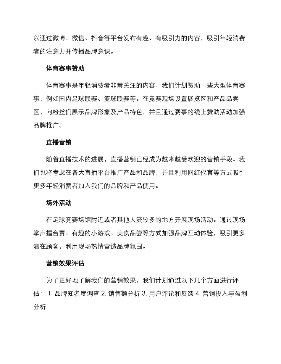 青啤营销方案_第2页