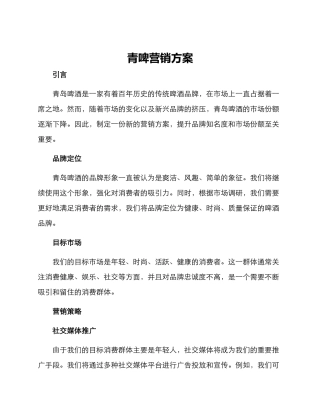 青啤营销方案