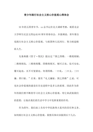 青少年践行社会主义核心价值观心得体会