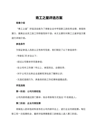 青工之星评选方案