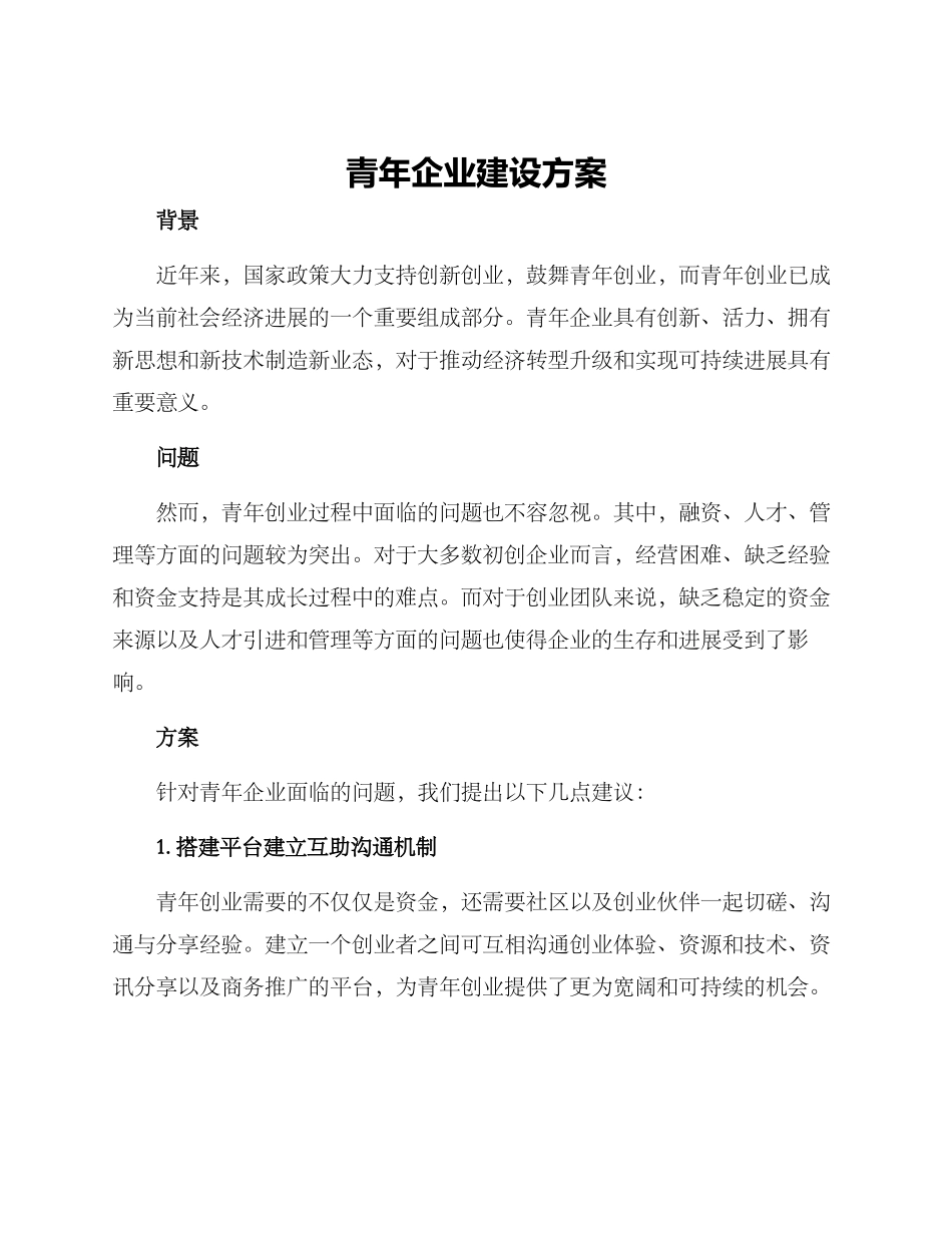 青年企业建设方案_第1页