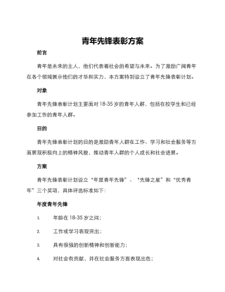 青年先锋表彰方案