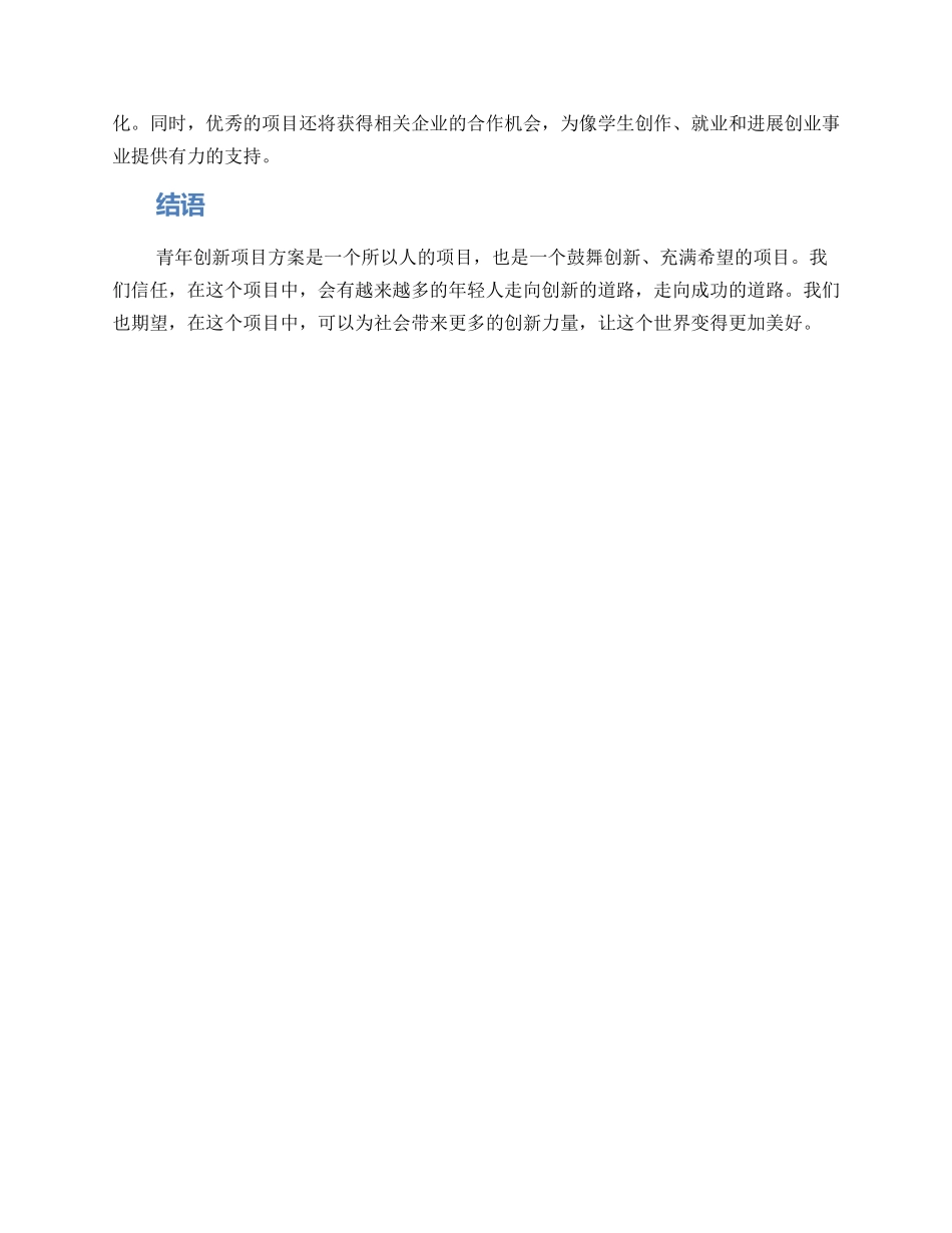 青年创新项目方案_第2页