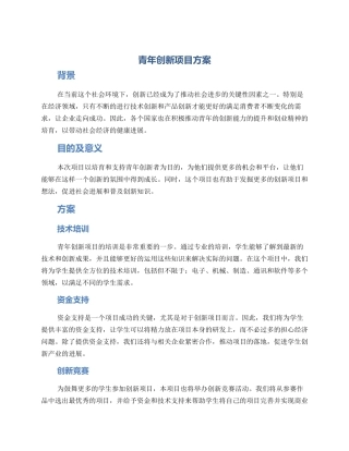 青年创新项目方案