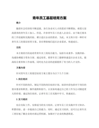 青年员工基层培养方案