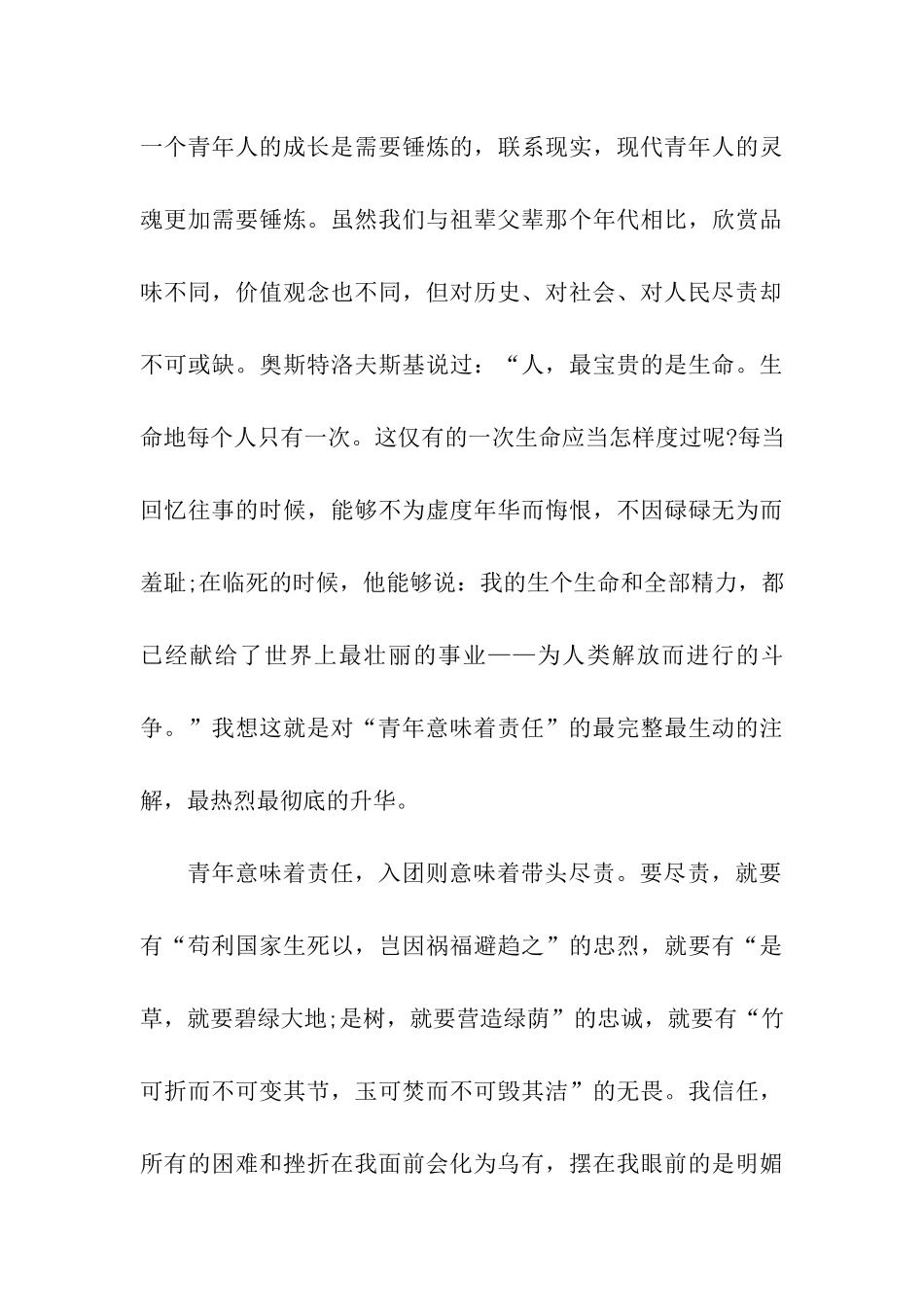 青年团入团申请书1000字_第3页