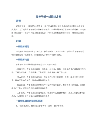 青年干部一线锻炼方案