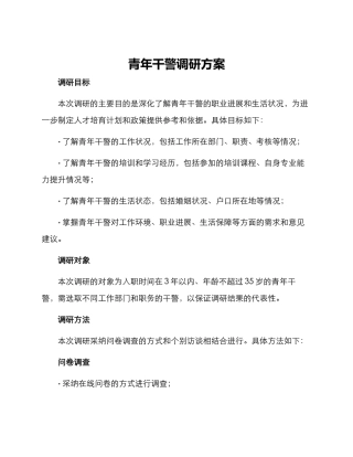 青年干警调研方案