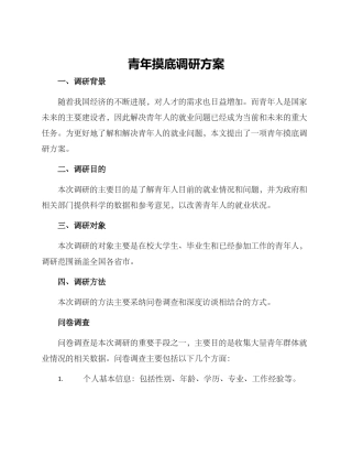 青年摸底调研方案