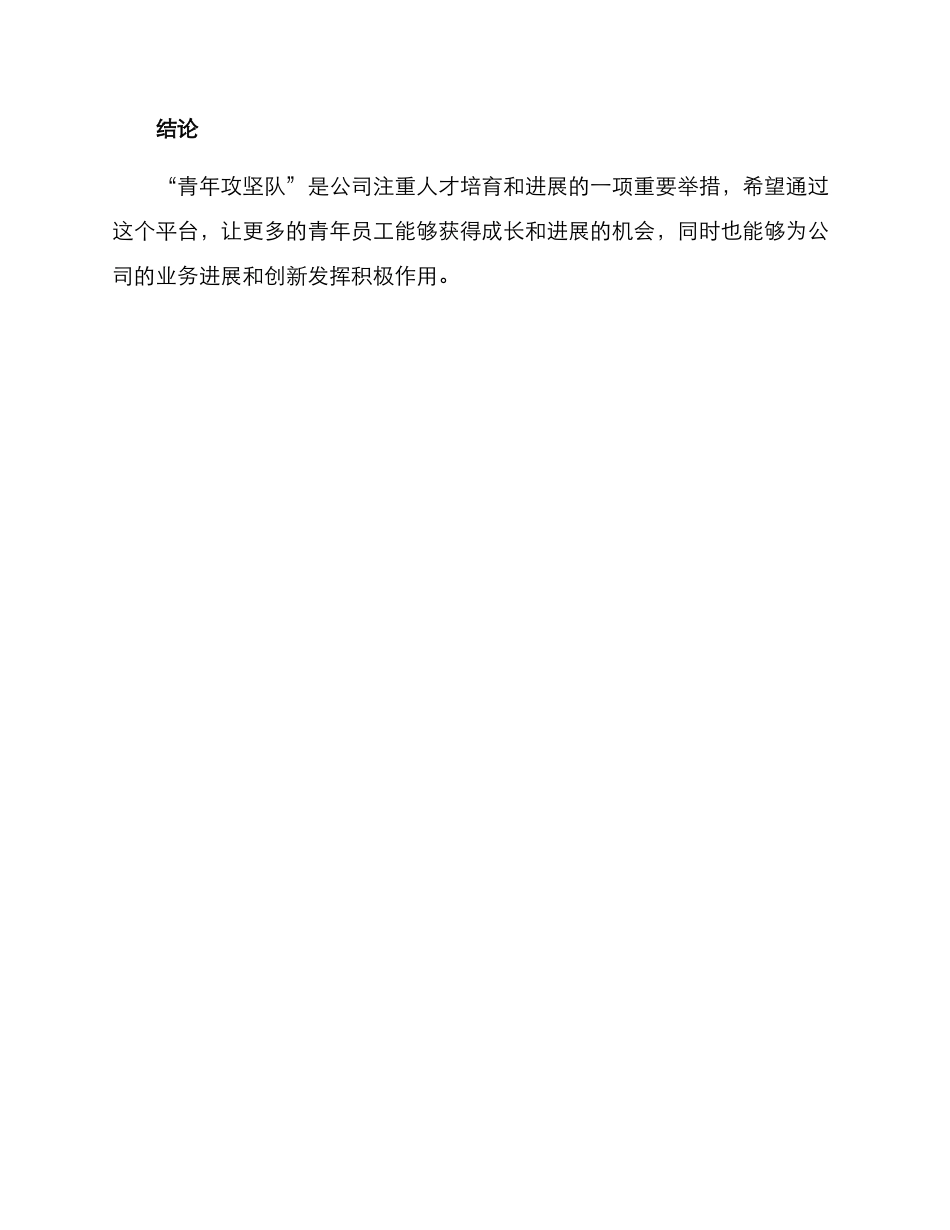 青年攻坚队工作方案_第3页