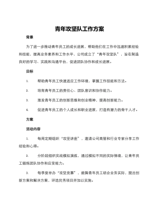 青年攻坚队工作方案