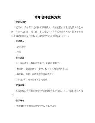 青年教师宣传方案