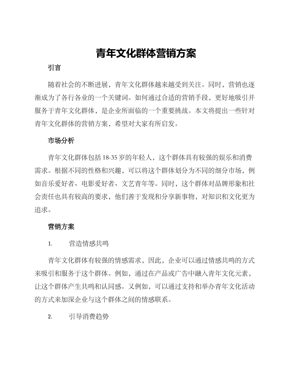青年文化群体营销方案_第1页