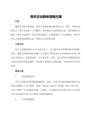 青年文化群体营销方案