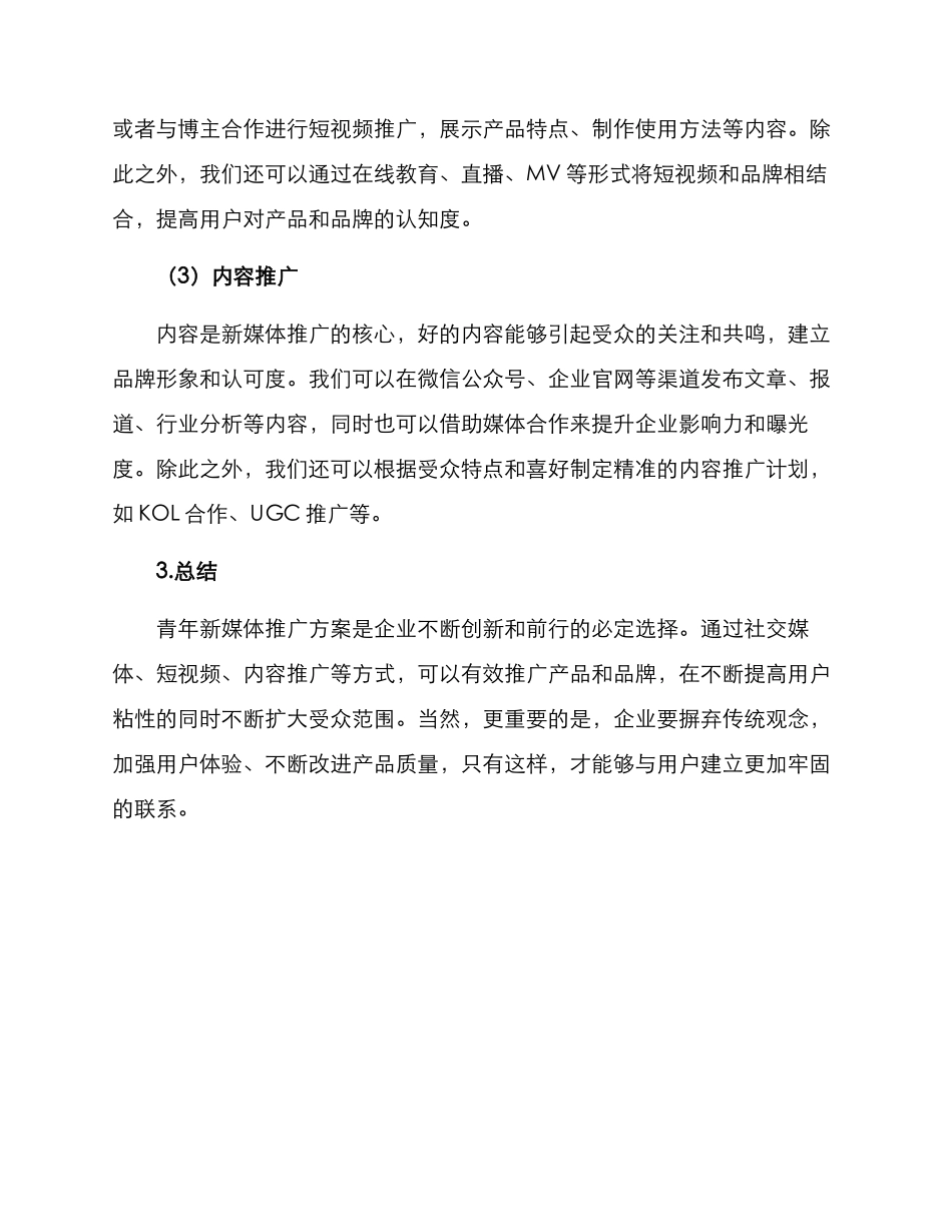 青年新媒体推广方案_第2页
