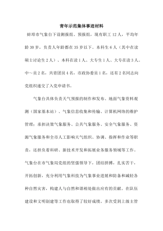 青年示范集体事迹材料