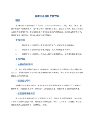 青年社会组织工作方案