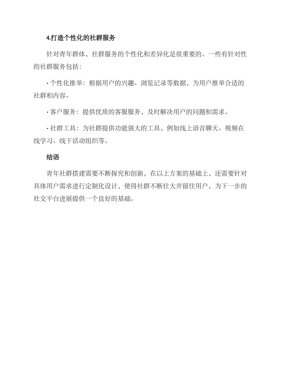 青年社群搭建方案_第3页