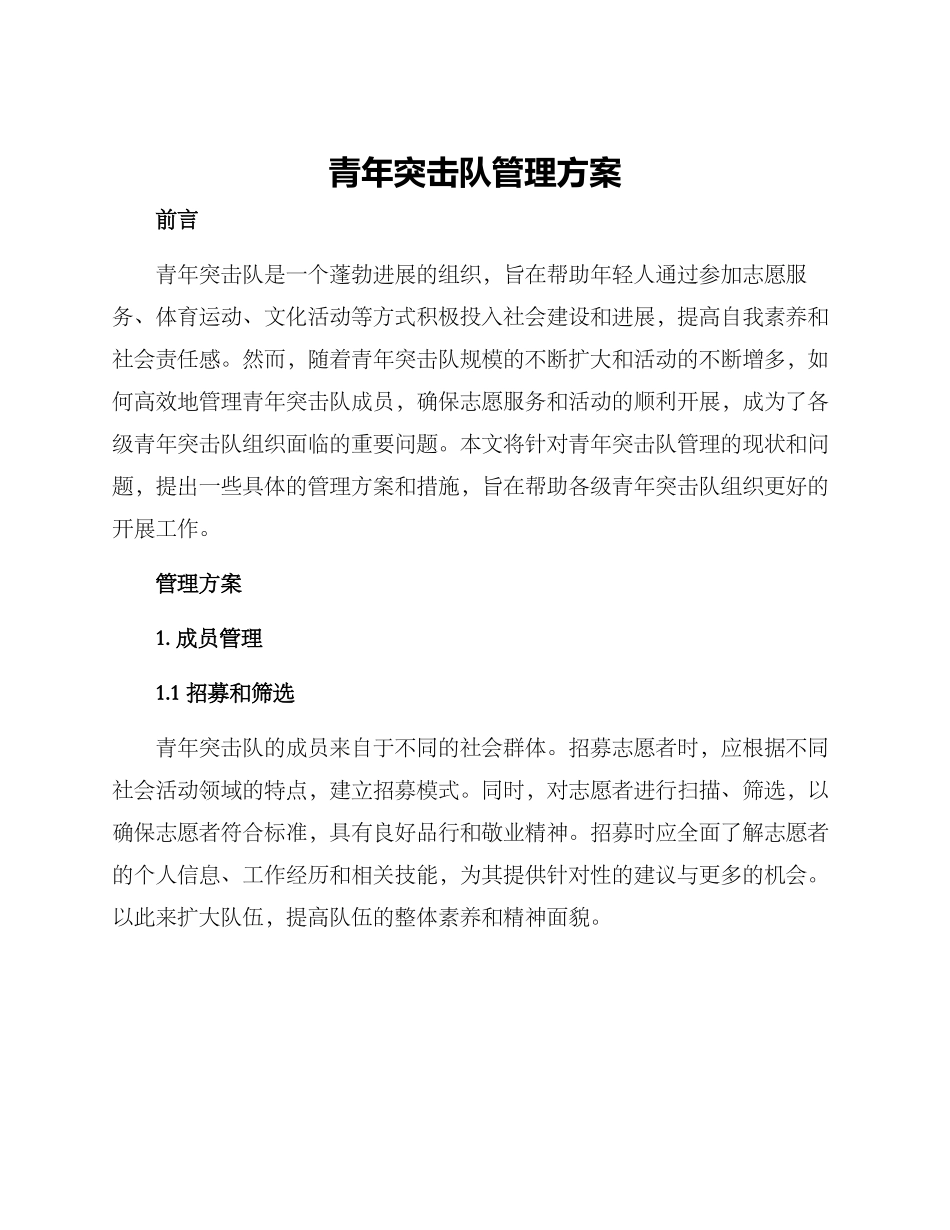 青年突击队管理方案_第1页