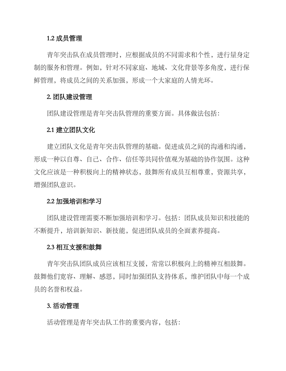 青年突击队管理方案_第2页
