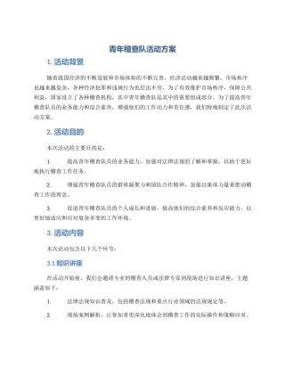 青年稽查队活动方案