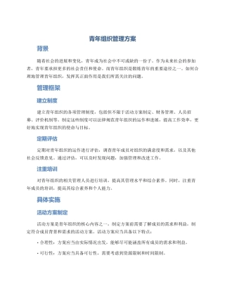 青年组织管理方案
