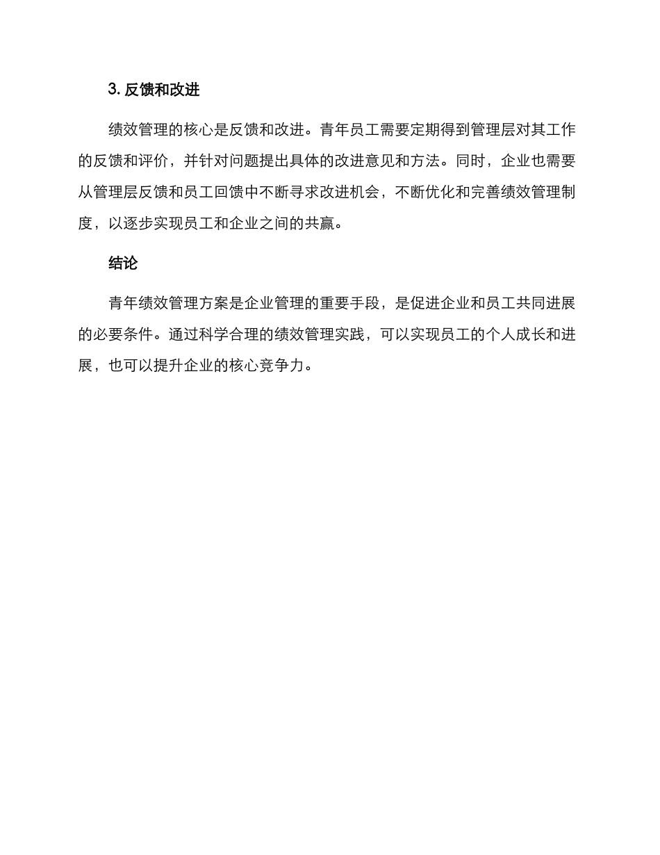 青年绩效管理方案_第2页