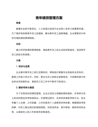 青年绩效管理方案