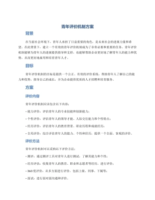 青年评价机制方案