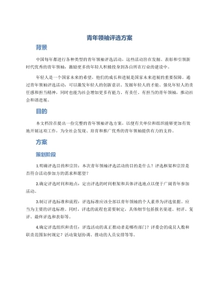 青年领袖评选方案