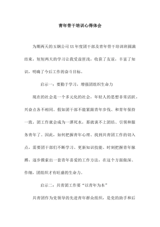 青年骨干培训心得体会