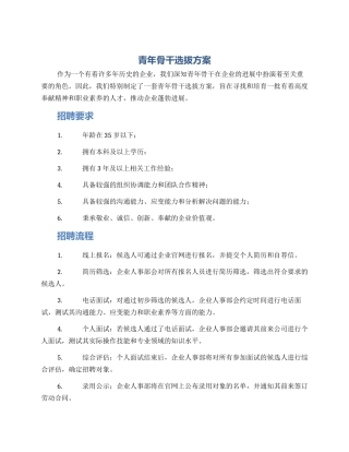 青年骨干选拔方案